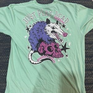 Comfort Colors Graphic Tee - Mint Green